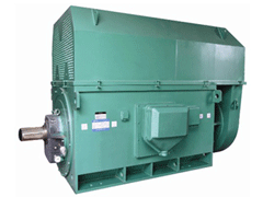 滨海Y系列6KV高压电机